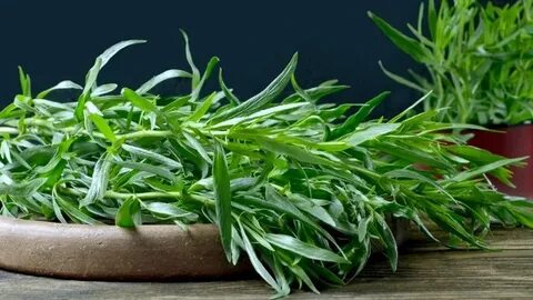 تصویر 1 از قیمت شگفت انگیز سبزی ترخون خشک + فروش استثنایی